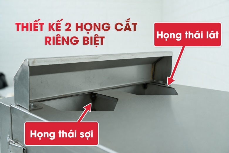 Máy cắt lát sợi củ quả QSP30 Thiết kế 2 họng cắt riêng biệt