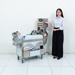 Máy cắt rau củ quả đa năng MG-607 ava 5 may thai rau cu qua da nang 500 800kg h mg 607